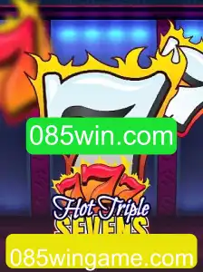 Descubra o Emocionante Jogo HotTripleSevens e as Oportunidades no 085win.com